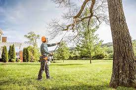 Professional Tree Services in Towanda, KS